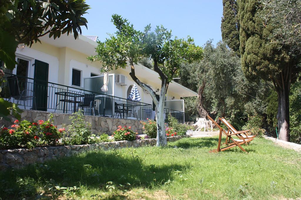 Dolphin Apartments باليوكاستريتسا المظهر الخارجي الصورة
